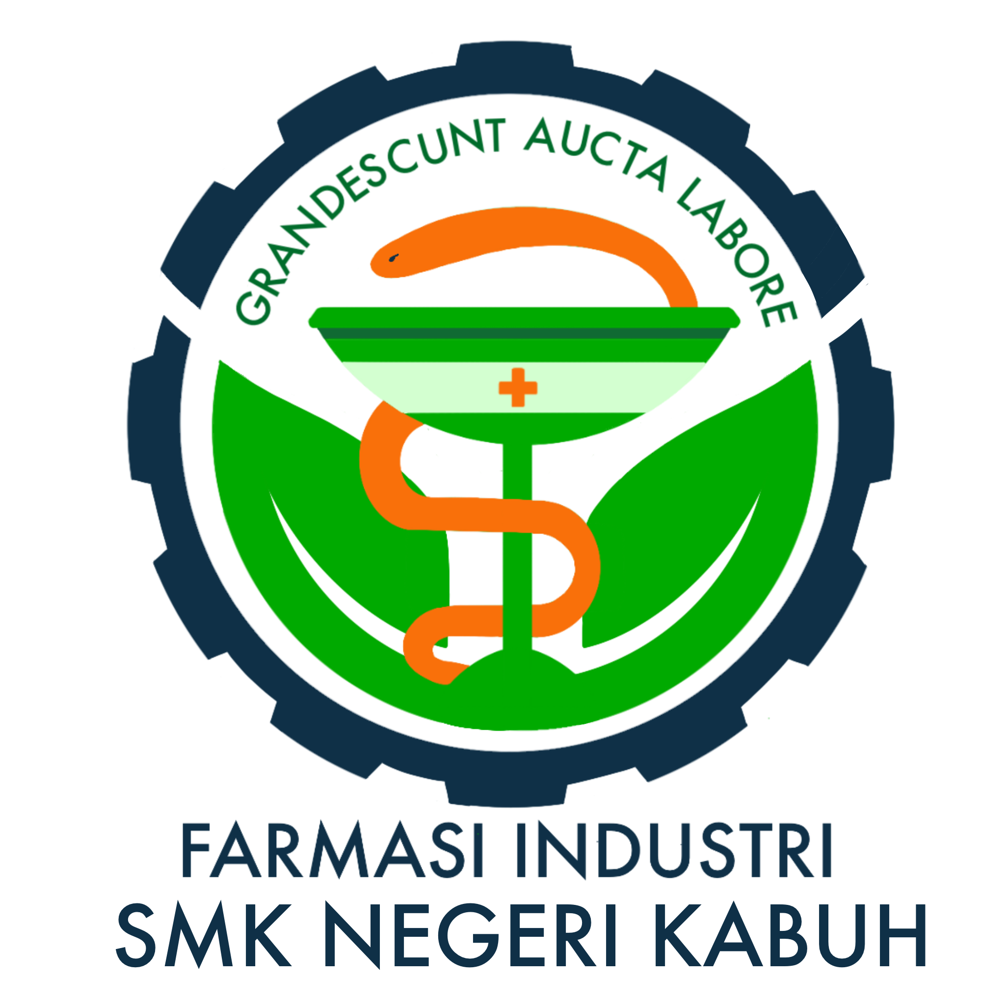 Teknik Farmasi Industri